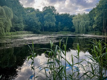 Photo of Picturesque view of green park with lake on cloudy day