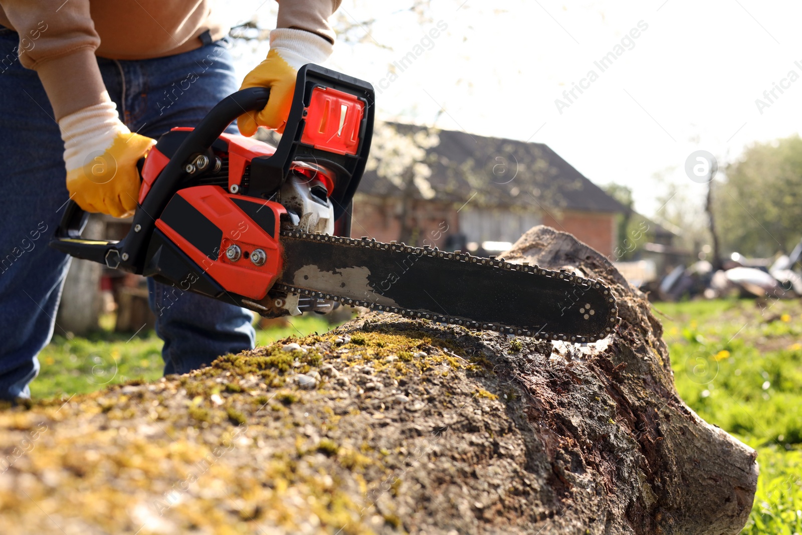 Photo of Man sawing wooden log on sunny day, closeup