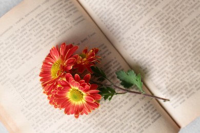Photo of Book with chrysanthemum flowers as bookmark, top view