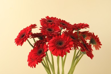 Photo of Bouquet of beautiful red gerbera flowers on beige background