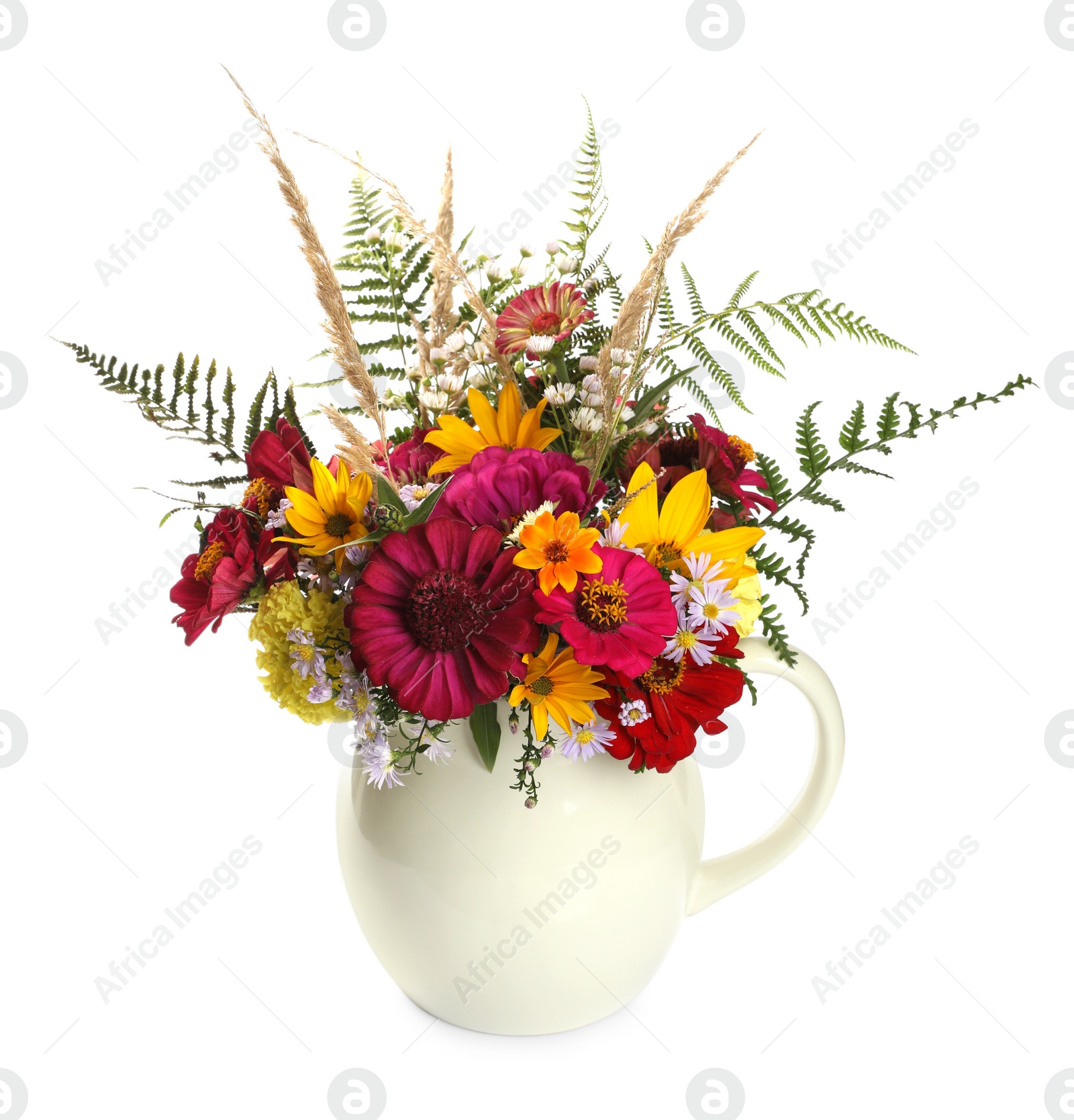 Photo of Beautiful wild flowers in jug isolated on white