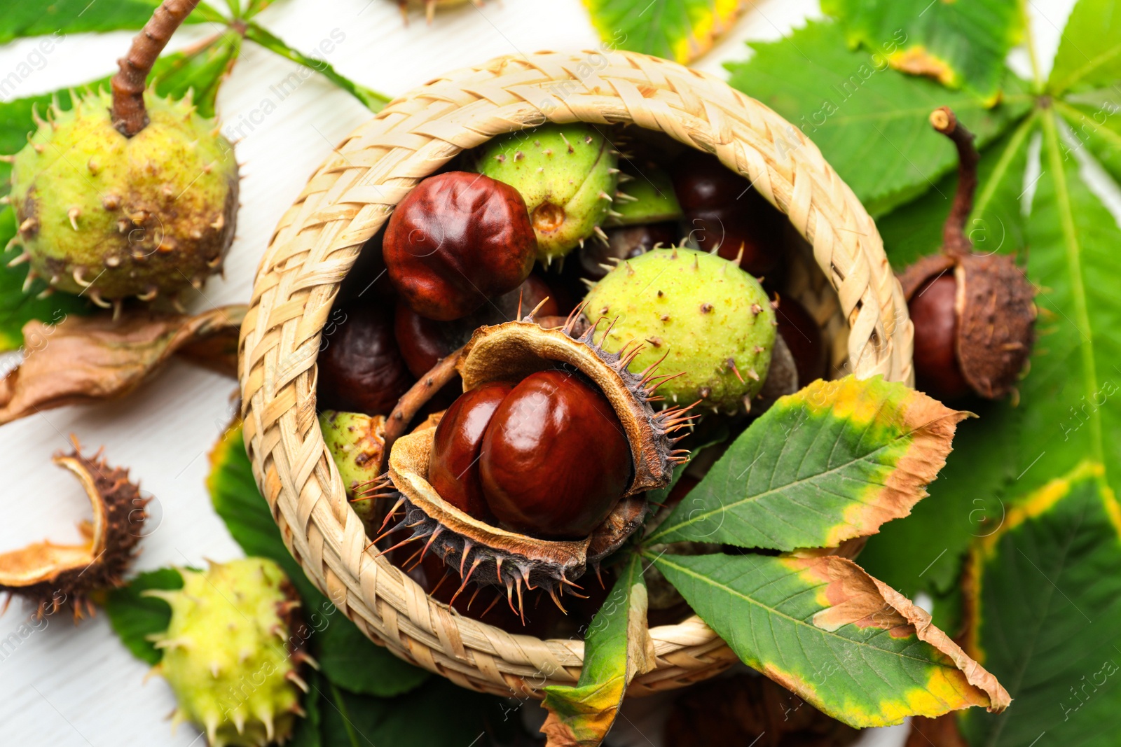 Photo of Horse chestnuts in wicker basket on white wooden table, flat lay