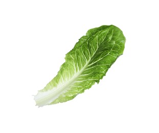 Fresh leaf of green romaine lettuce isolated on white