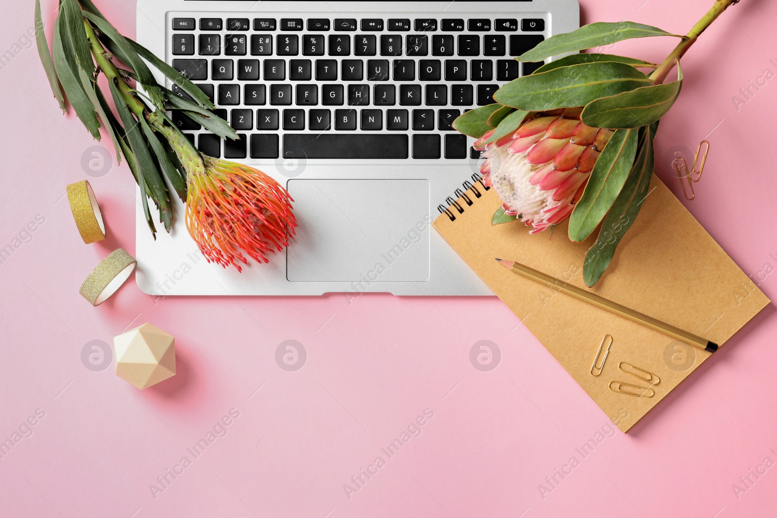 Photo of Creative flat lay composition with tropical flowers and laptop on color background