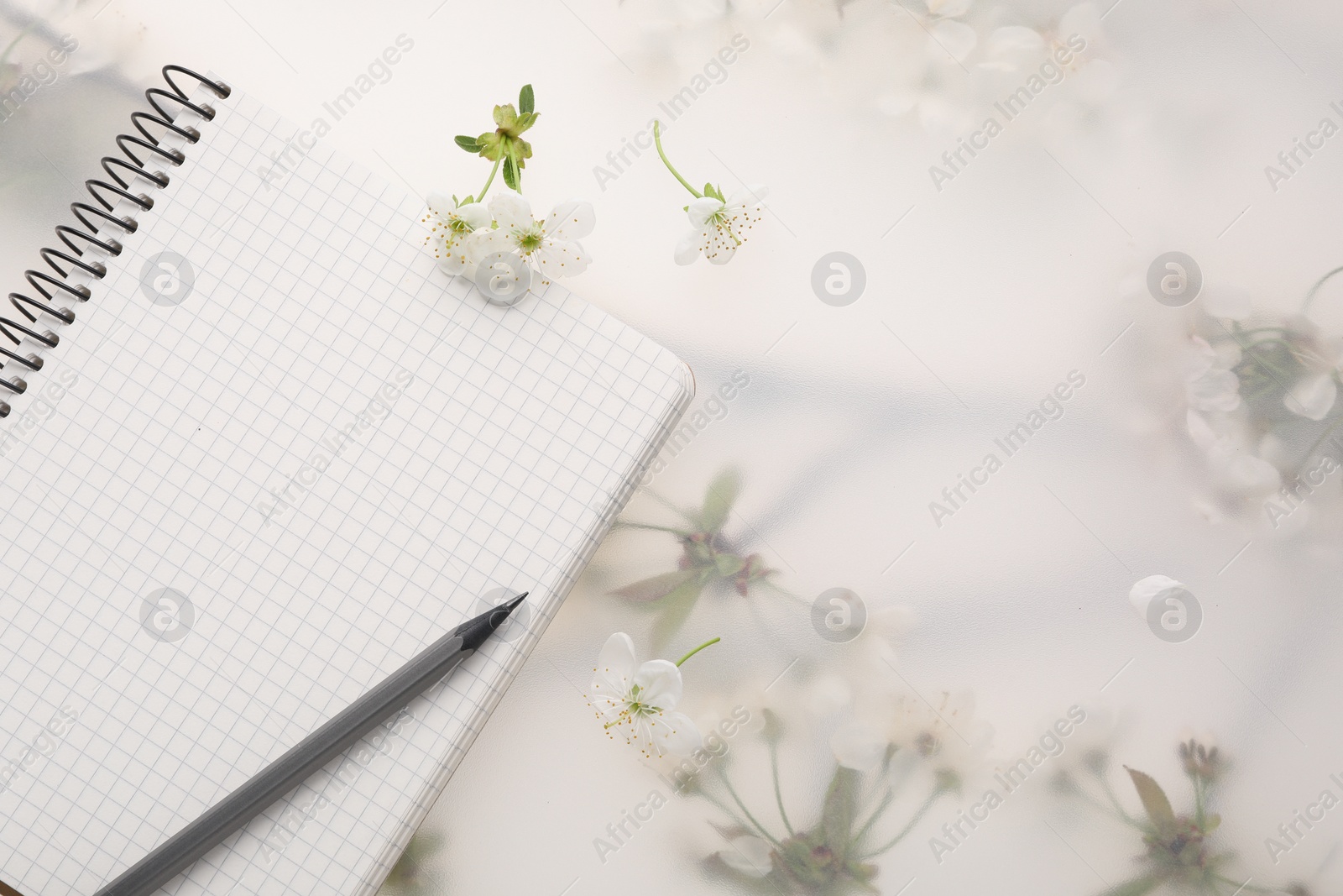 Photo of Guest list. Notebook, pencil and beautiful cherry tree blossoms on spring floral background, flat lay. Space for text