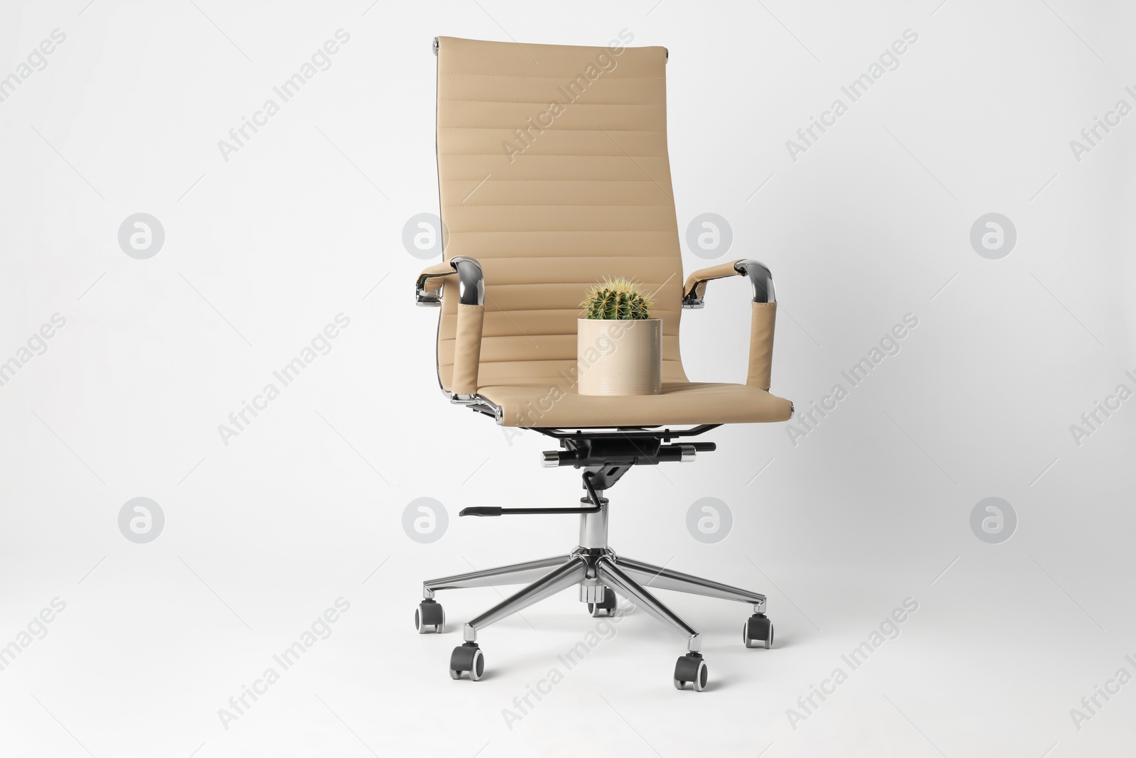 Photo of Office chair with cactus isolated on white. Hemorrhoids concept