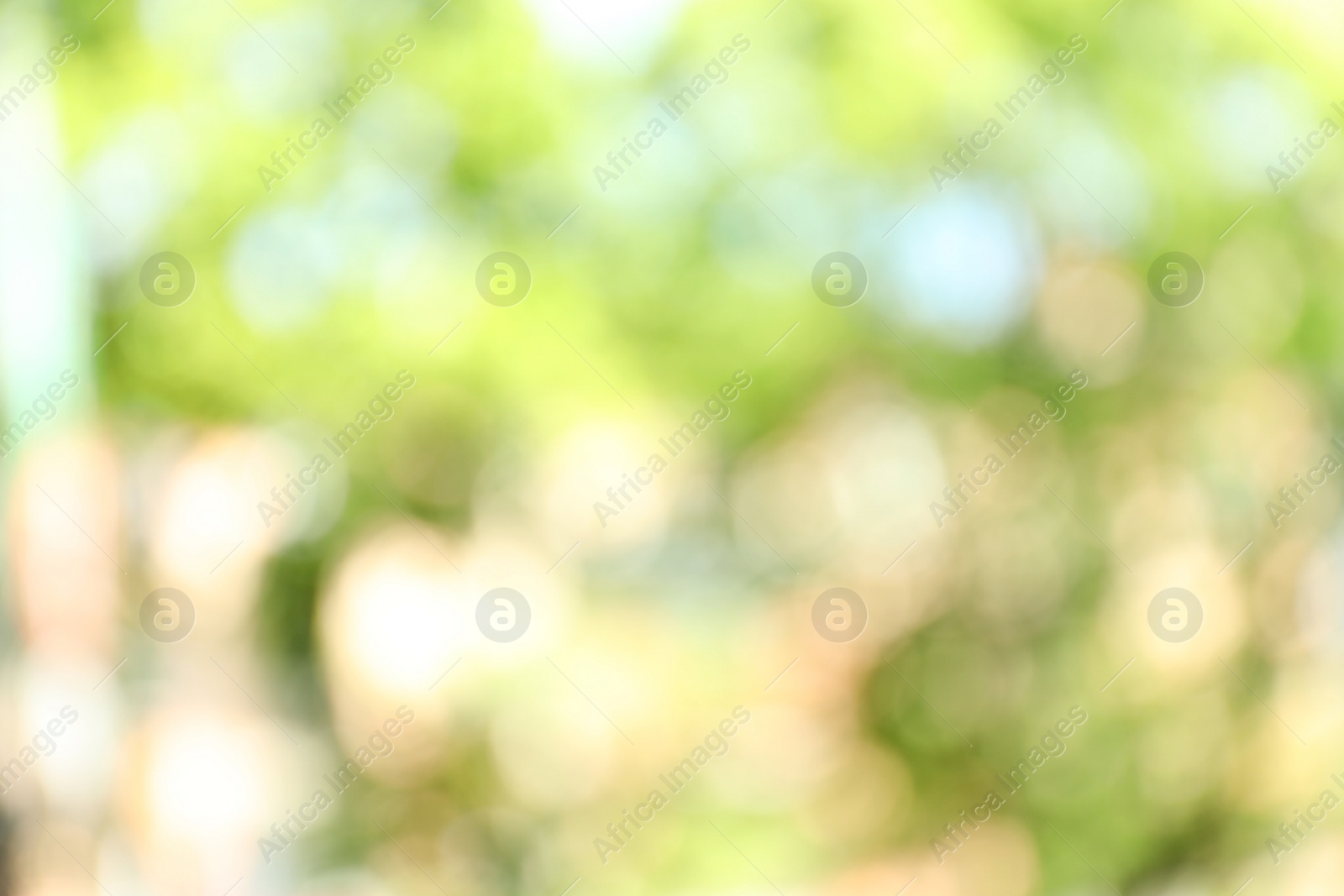 Photo of Blurred view of abstract green background. Bokeh effect