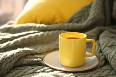 Photo of Cup of aromatic tea on green blanket, space for text