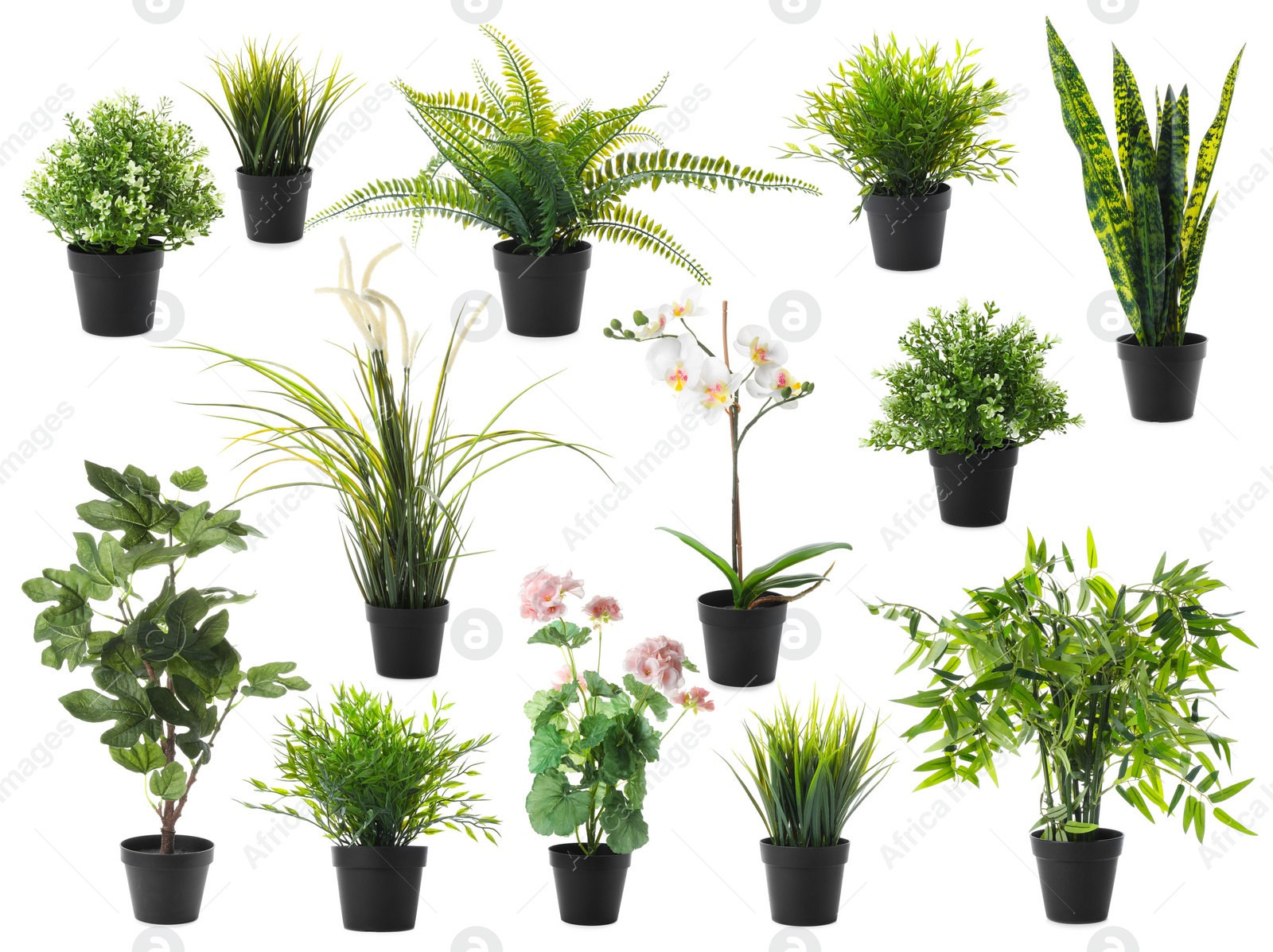 Image of Set of artificial plants in flower pots isolated on white