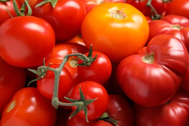 Photo of Many different ripe tomatoes as background, closeup