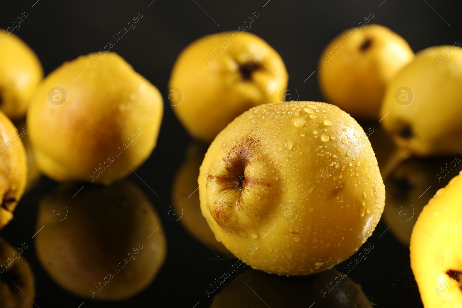 Photo of Tasty ripe quinces with water drops on black mirror surface, closeup