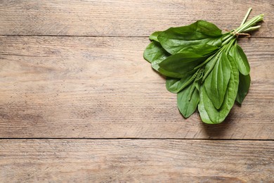 Photo of Broadleaf plantain leaves and seeds on wooden table, top view. Space for text