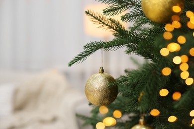 Photo of Christmas balls hanging on fir tree indoors, closeup. Space for text