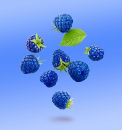 Image of Many fresh blue raspberries and green leaf falling on blue background