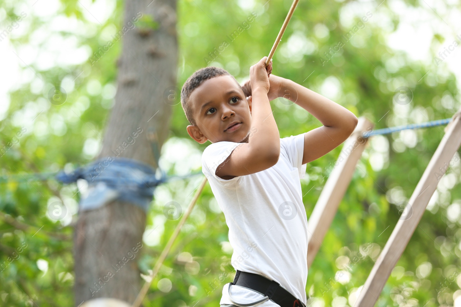 Photo of Little African-American boy climbing in adventure park. Summer camp