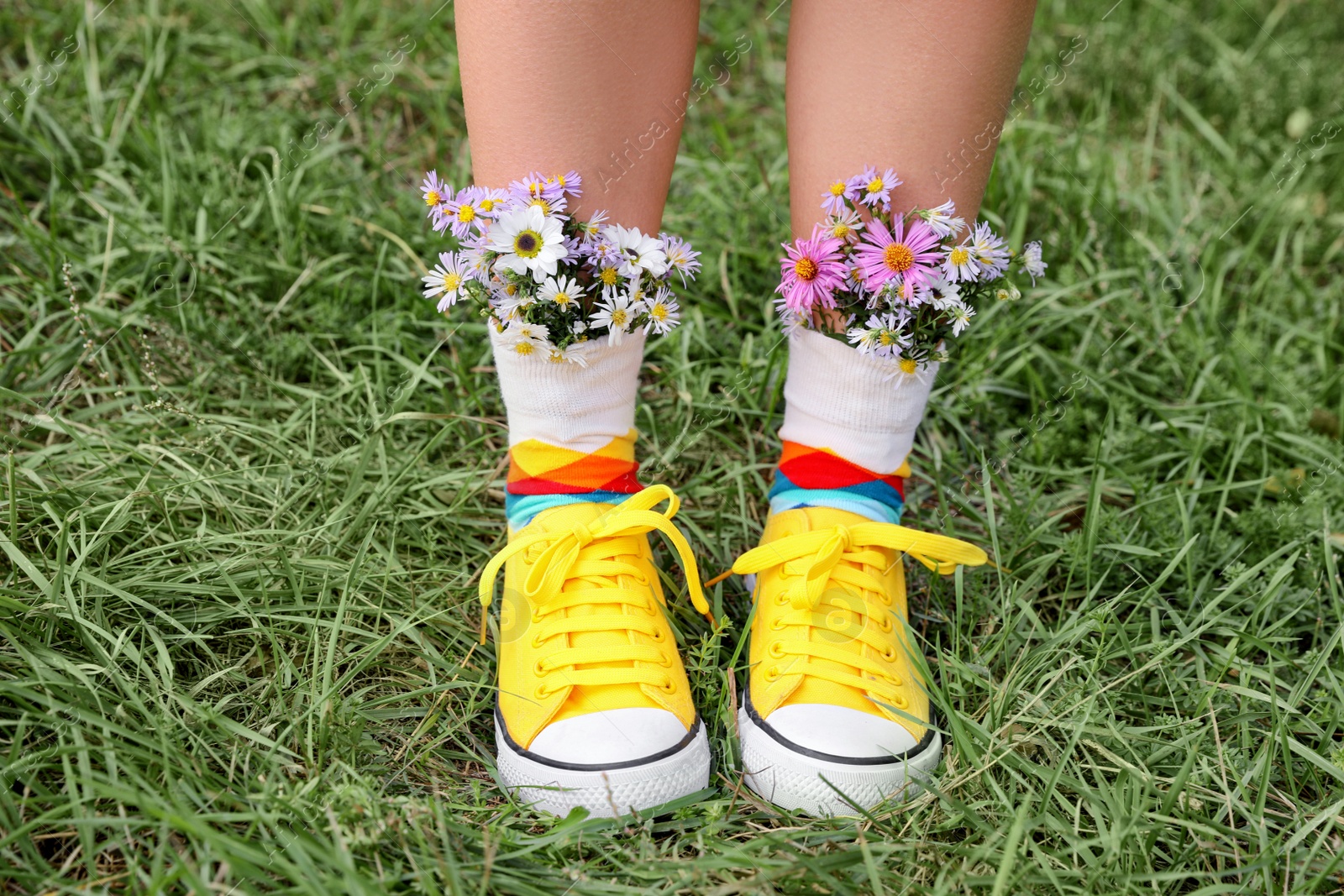 Photo of Woman with beautiful tender flowers in socks on green grass, closeup