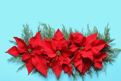 Photo of Flat lay composition with poinsettia on color background. Traditional Christmas flower