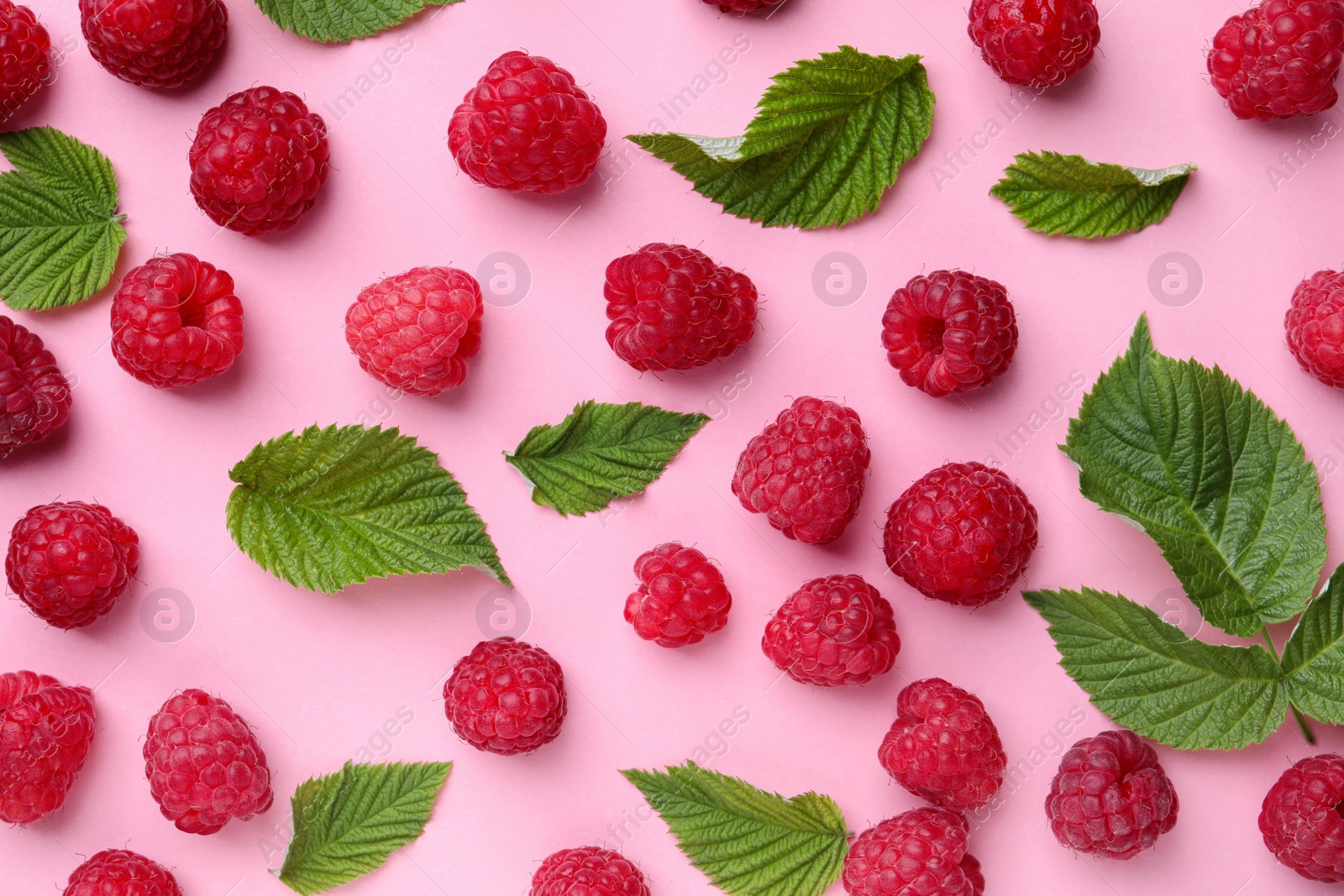 Photo of Tasty ripe raspberries and green leaves on pink background, flat lay