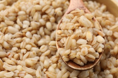 Delicious pearl barley and wooden spoon, closeup. Space for text