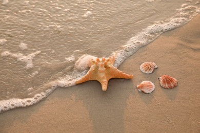 Photo of Wave rolling onto sandy beach with beautiful sea star and shells at sunset