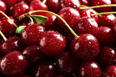 Photo of Delicious ripe sweet cherries with water drops as background, closeup view