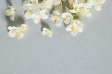 Beautiful jasmine flowers on grey background, flat lay. Space for text