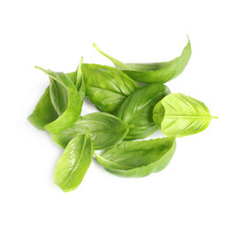 Pile of fresh basil leaves isolated on white