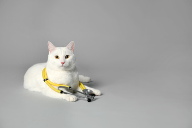 Photo of Cute cat with stethoscope as veterinarian on grey background. Space for text