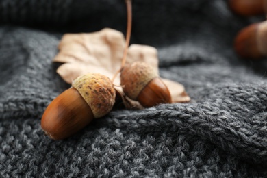 Acorns on grey knitted fabric, closeup view