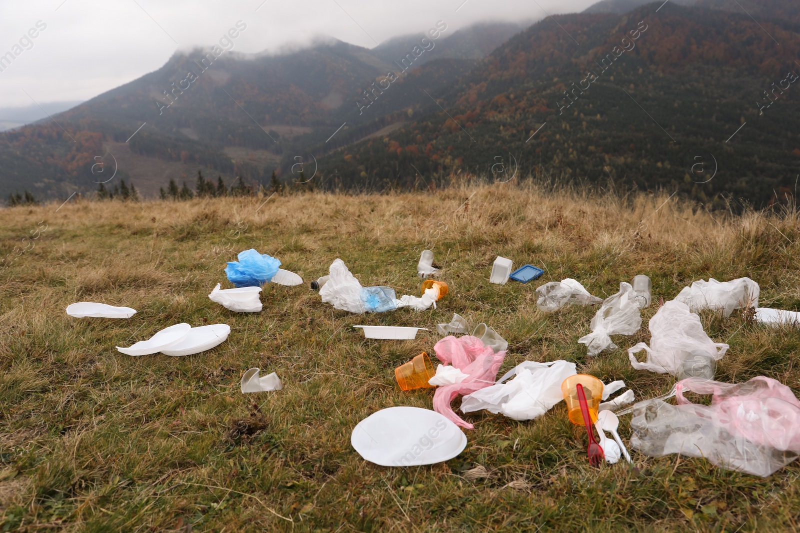 Photo of Plastic garbage scattered on grass in nature