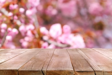 Image of Empty wooden surface and beautiful blossoming sakura tree on background