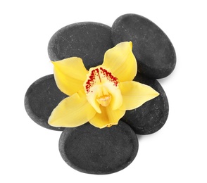 Spa stones and beautiful orchid on white background, top view