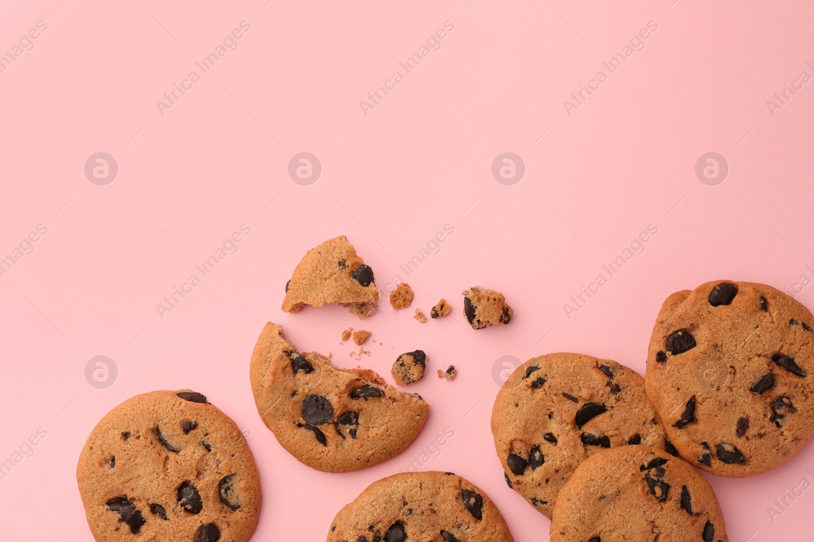 Photo of Many delicious chocolate chip cookies on pale pink background, flat lay. Space for text