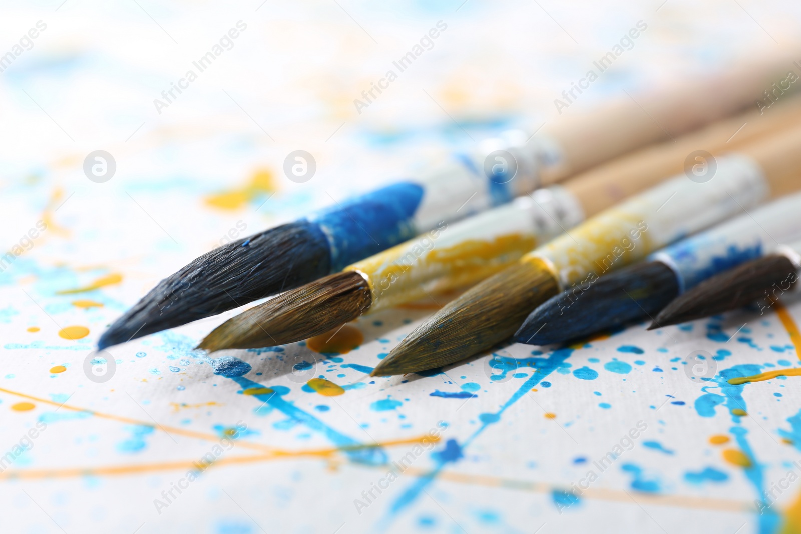 Photo of Brushes on canvas with colorful paint splashes, closeup. Art and creativity