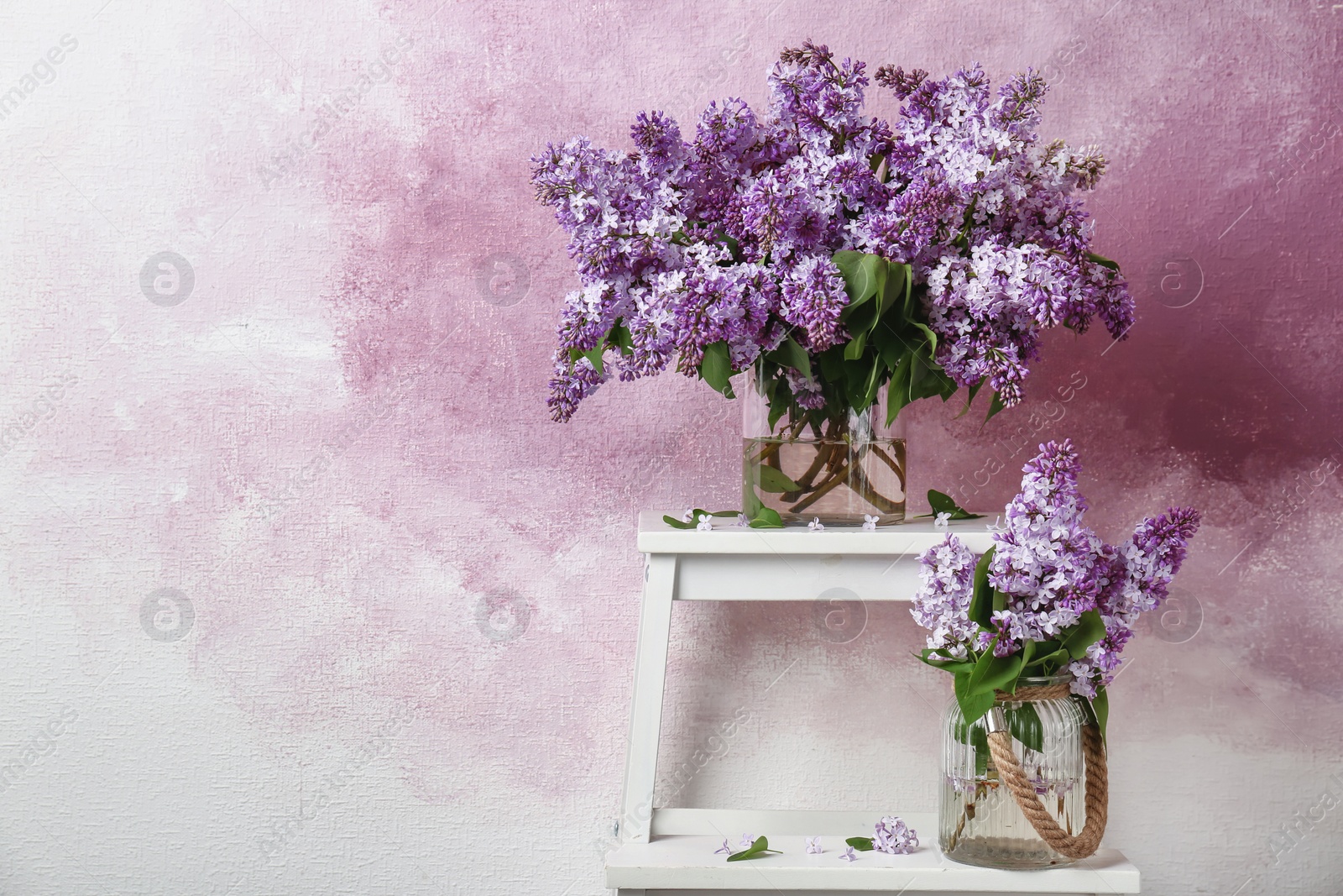 Photo of Vases with blossoming lilac on step ladder against color background. Spring flowers