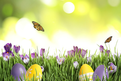 Image of Colorful Easter eggs with flowers in green grass and butterflies on blurred background