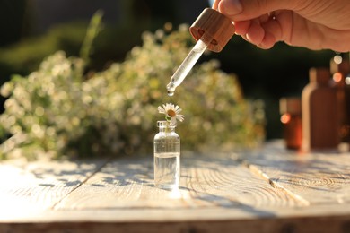 Photo of Woman dripping essential oil onto chamomile in bottle at white wooden table, closeup