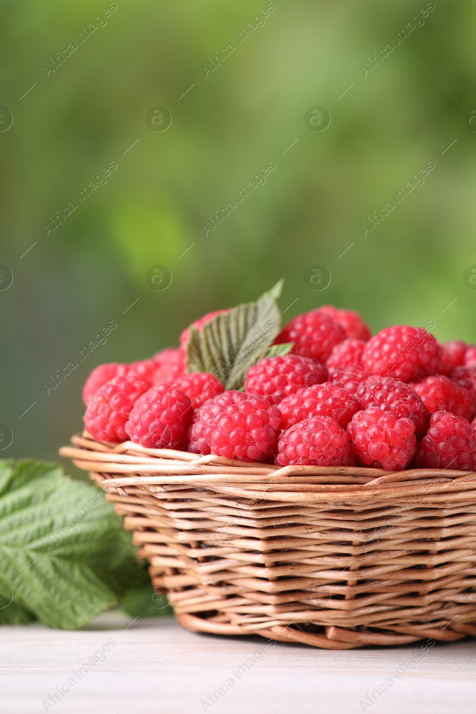 Photo of Wicker basket with tasty ripe raspberries and leaves on white wooden table against blurred green background, closeup. Space for text