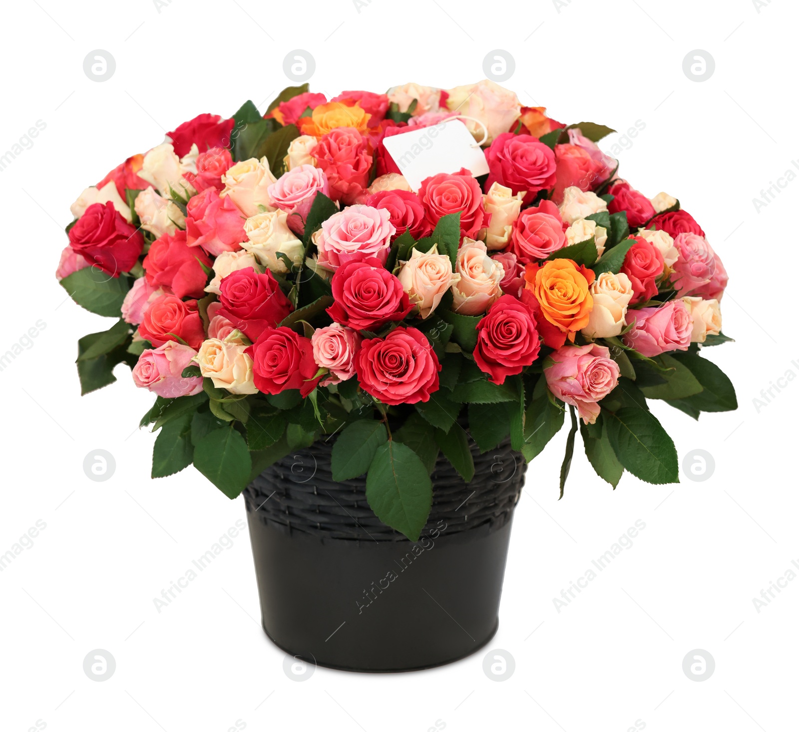 Photo of Bouquet of beautiful roses with blank card isolated on white
