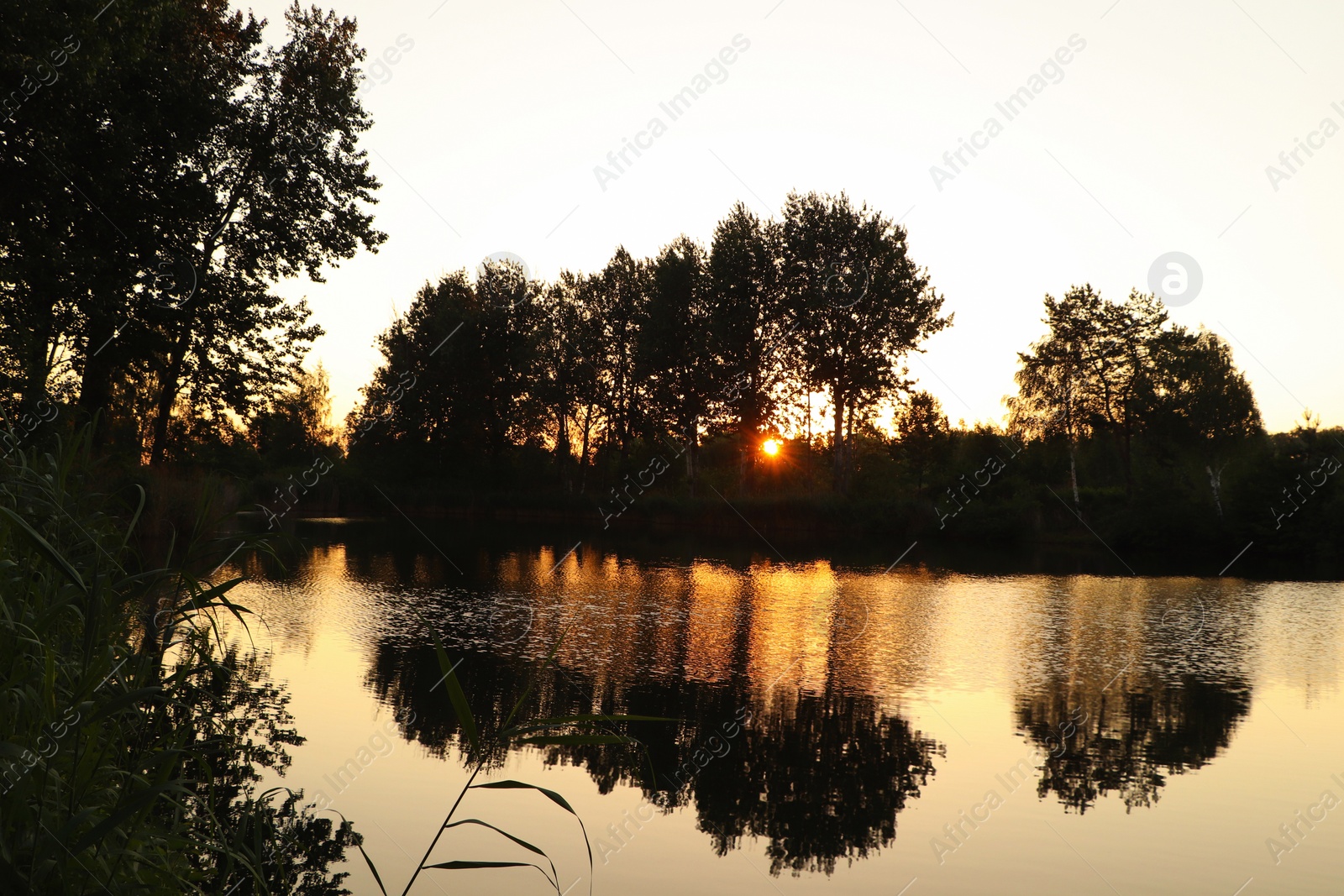 Photo of Picturesque view of countryside with river in morning