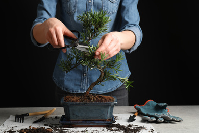 Woman trimming Japanese bonsai plant, closeup. Creating zen atmosphere at home