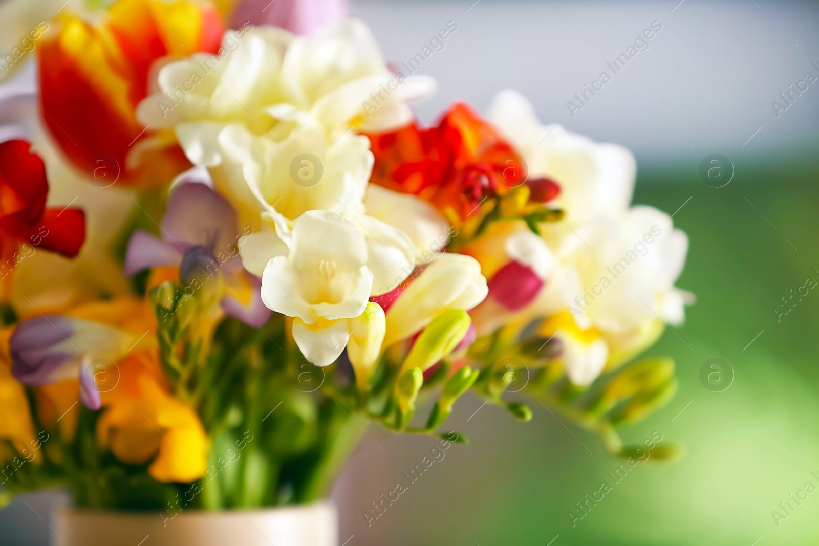 Photo of Beautiful bouquet of freesia flowers, closeup