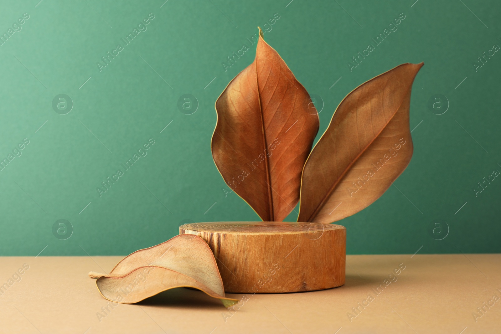 Photo of Presentation for product. Wooden podium and dry leaves on color background