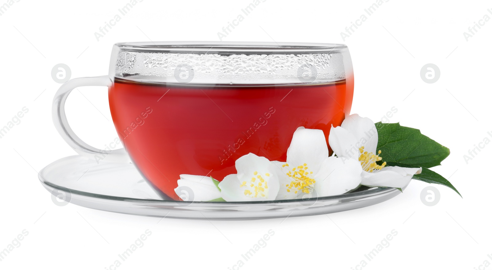 Photo of Cup of tea and fresh jasmine flowers isolated on white