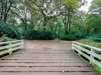 Photo of Beautiful wooden bridge over channel in park