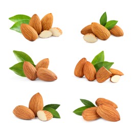 Set with tasty almond nuts on white background