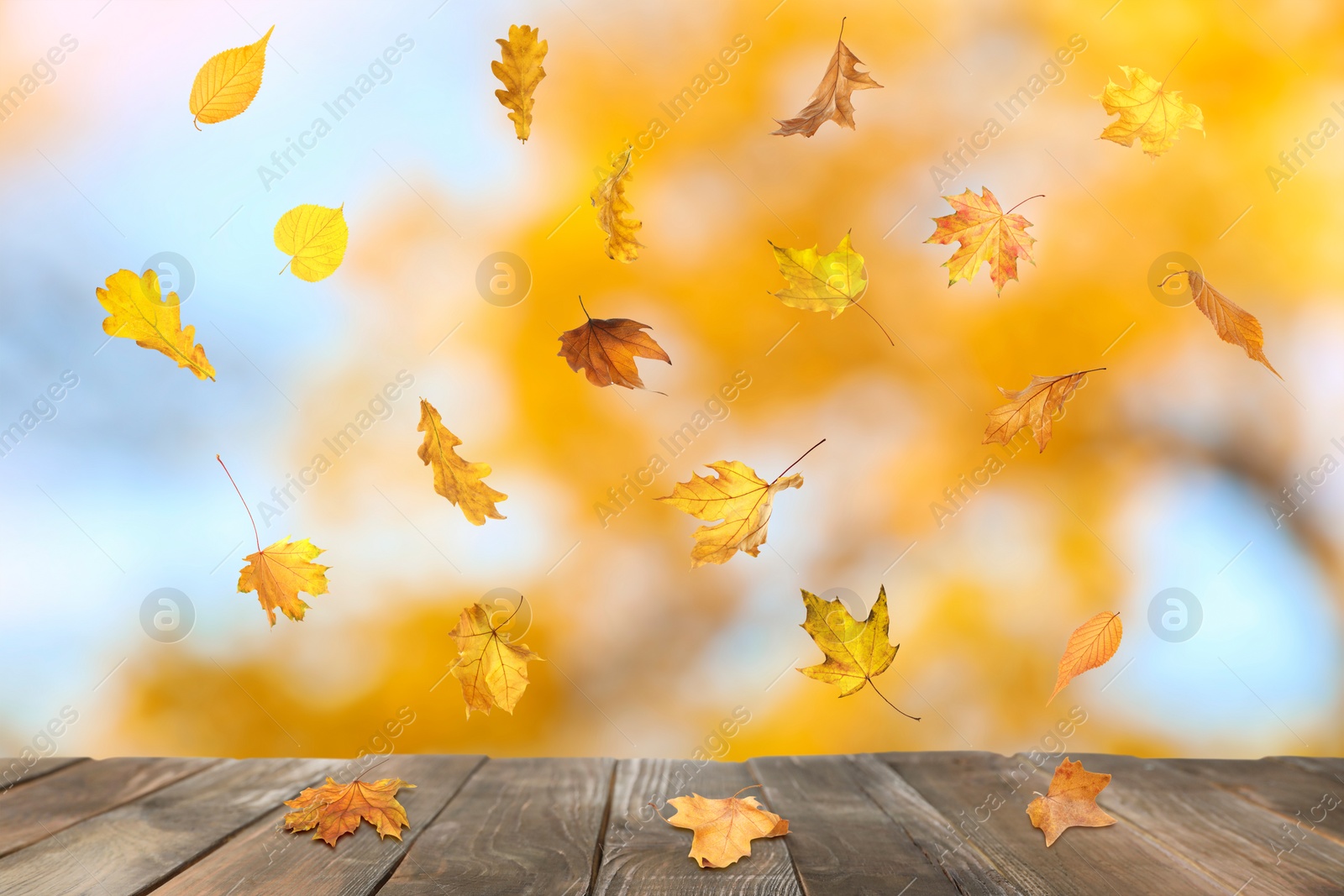 Image of Autumn leaves falling on wooden surface outdoors