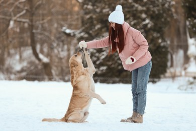 Photo of Beautiful young woman playing with adorable Labrador Retriever on winter day outdoors