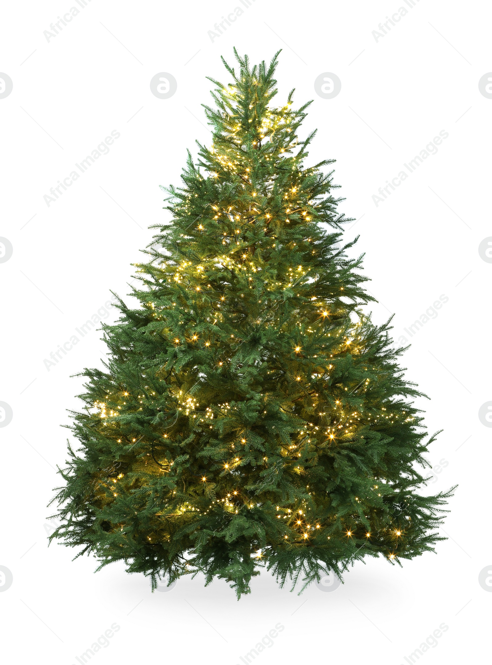 Photo of Beautiful Christmas tree with festive lights isolated on white