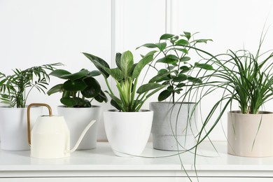 Photo of Many different houseplants in pots on chest of drawers near white wall